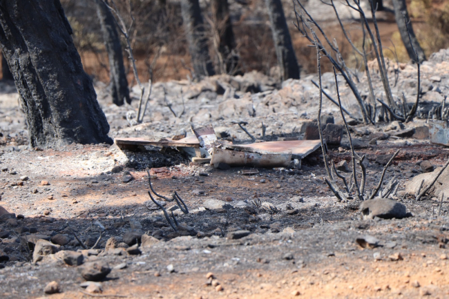 Marmaris yangınında 4 bin 500 hektar alan zarar gördü
